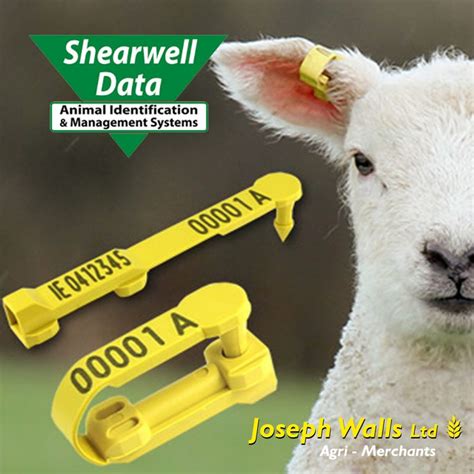 shearwell rfid tags|shearwell sheep tags.